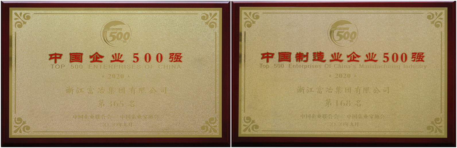 中国企业500强奖牌_副本.jpg